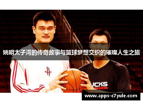 姚明太子湾的传奇故事与篮球梦想交织的璀璨人生之旅
